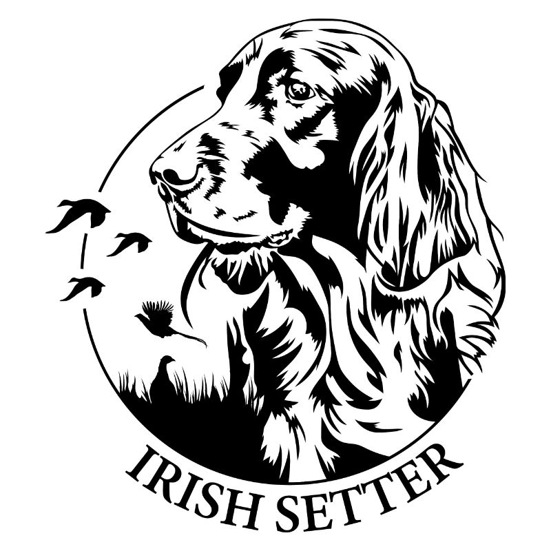 Irish Setter Jagdhund Jagdhunde Hunde Wilsigns