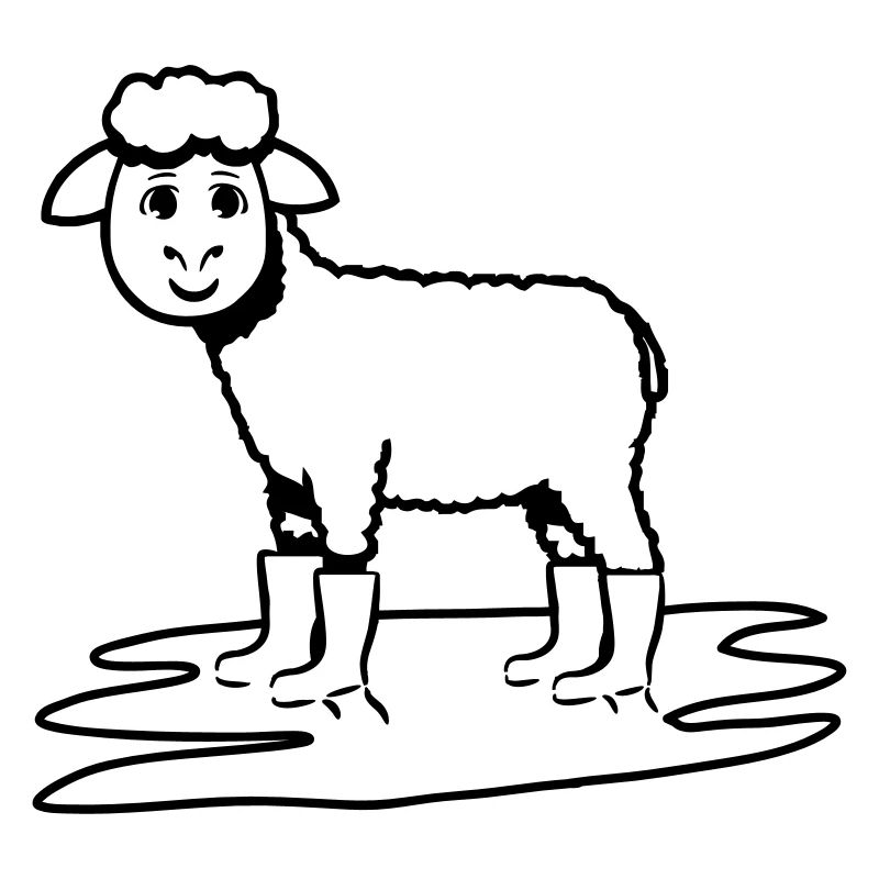 SHEEP BOOTS