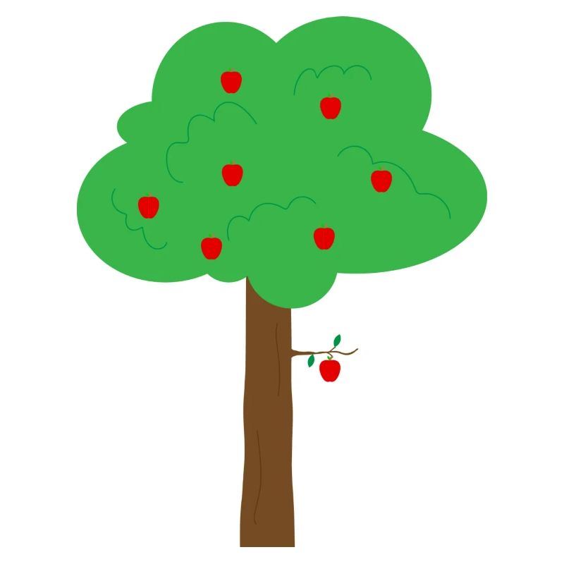 apple tree