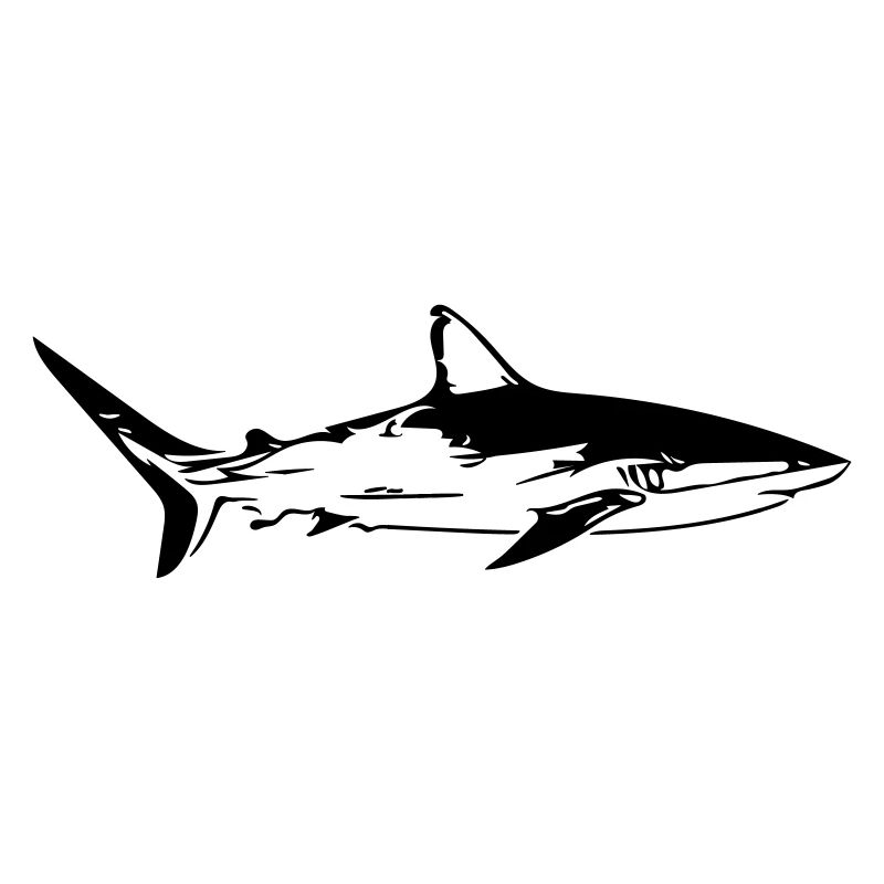 Requin - conception de vecteur vintage