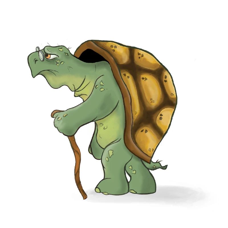 Die alte Schildkröte
