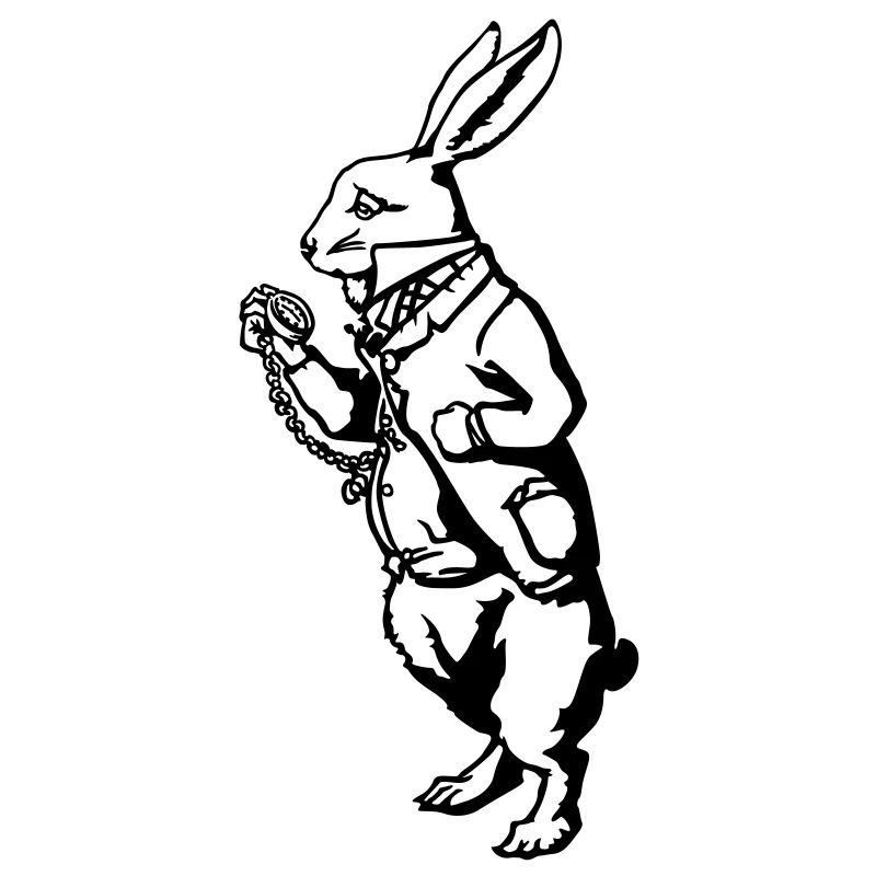 Rabbit