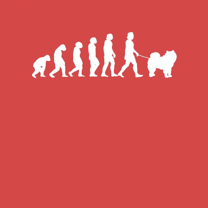Chow Chow Evolution Chien Lion Chinois