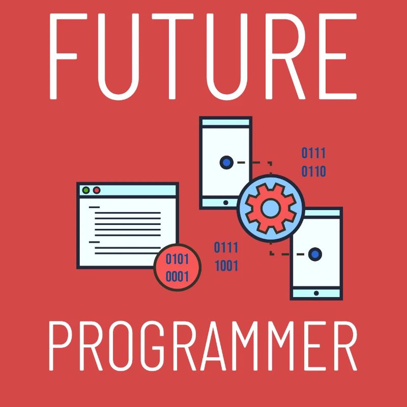 Programmeur Programmation Ordinateur Développeur Pc