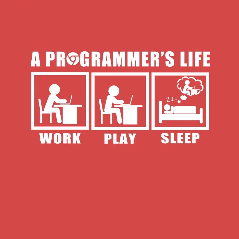 Das Leben eines Programmierers Spruch Geschenkidee