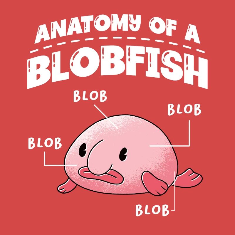 Anatomie Eines