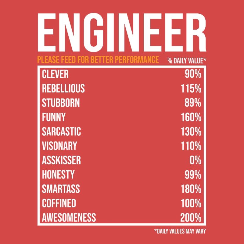 Engineer Daily Values Funny Engineer