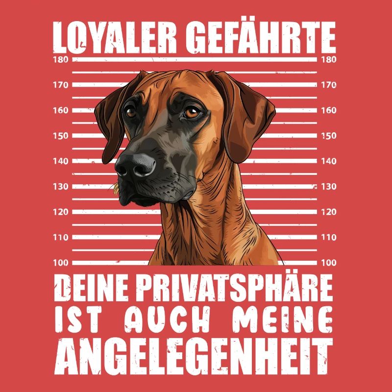 Rhodesian Ridgeback LOYALER GEFÄHRTE Hundebesitzer