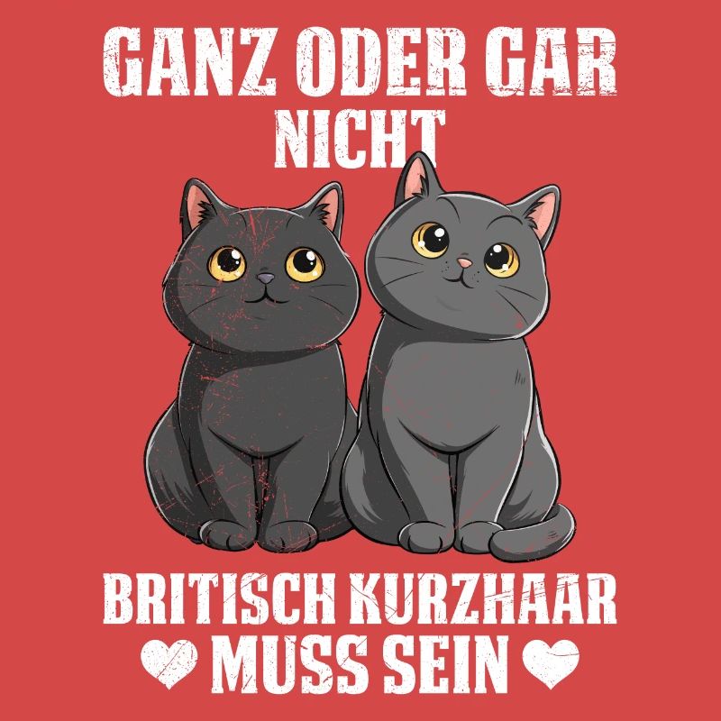 Britische Kurzhaar GANZ ODER GAR NICHT