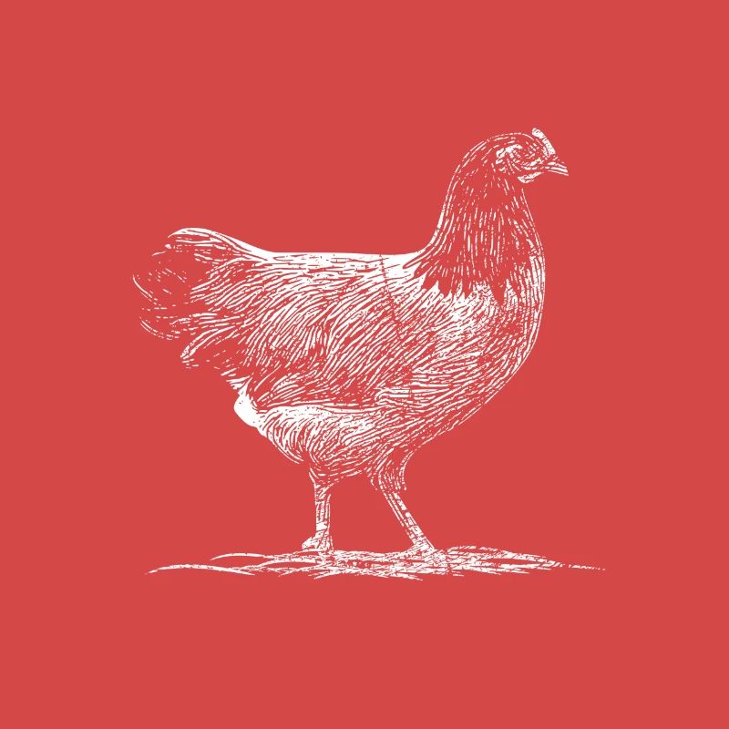 Poulets pré-bourses