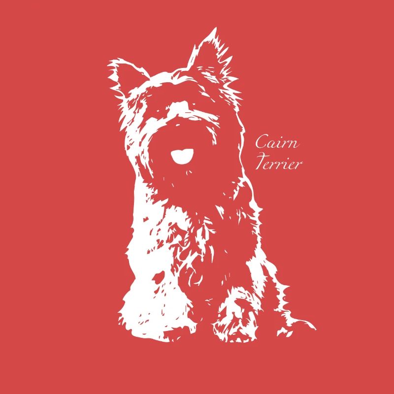Cairn Terrier