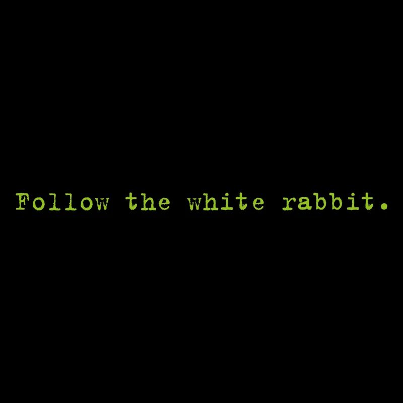 Follow the white rabbit Programming Informatik