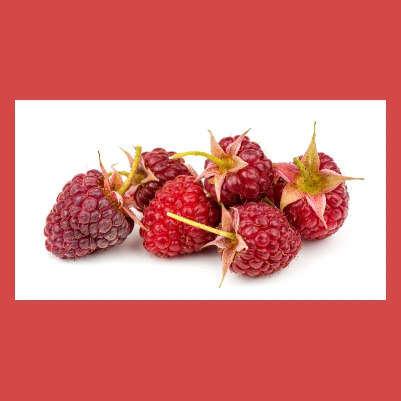 Himbeere. raspberry