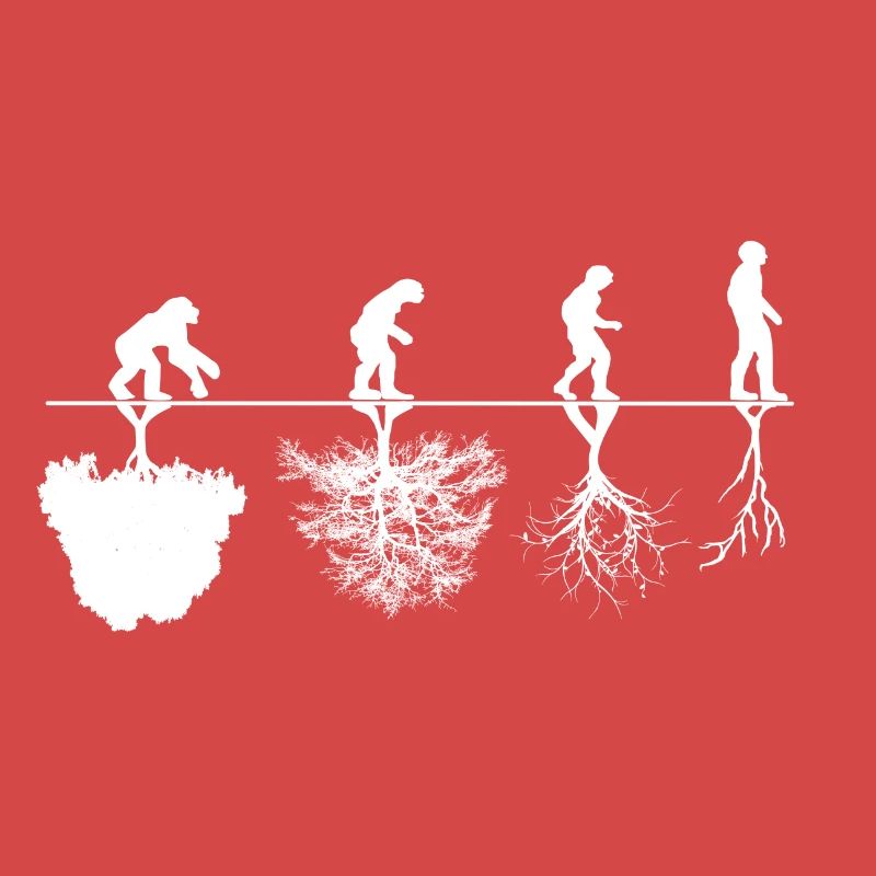 Evolution Kritik