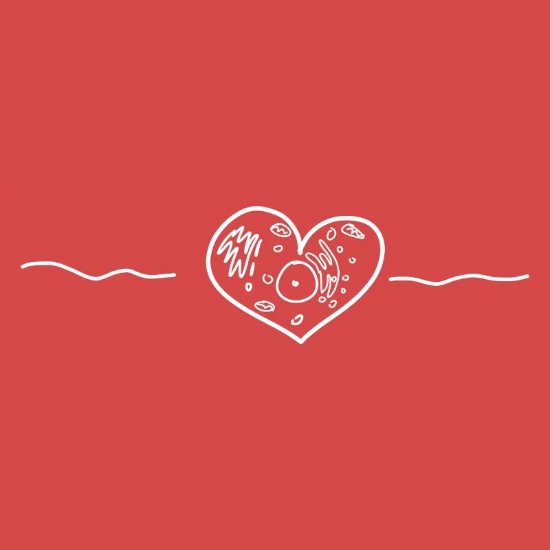 Cellule de coeur