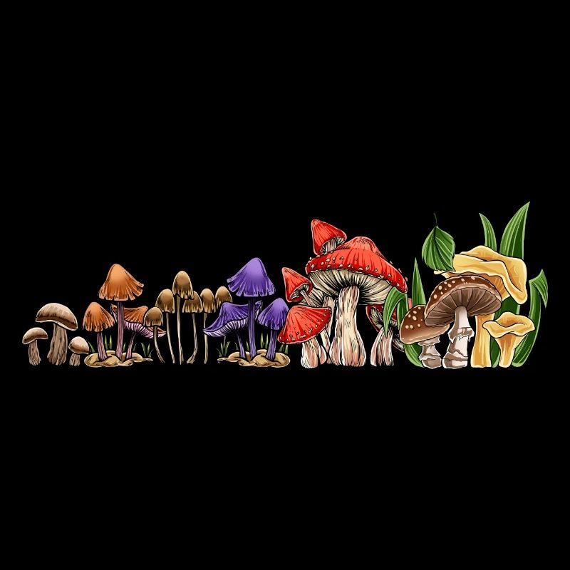 Champignons Champignons Cueillette de champignons