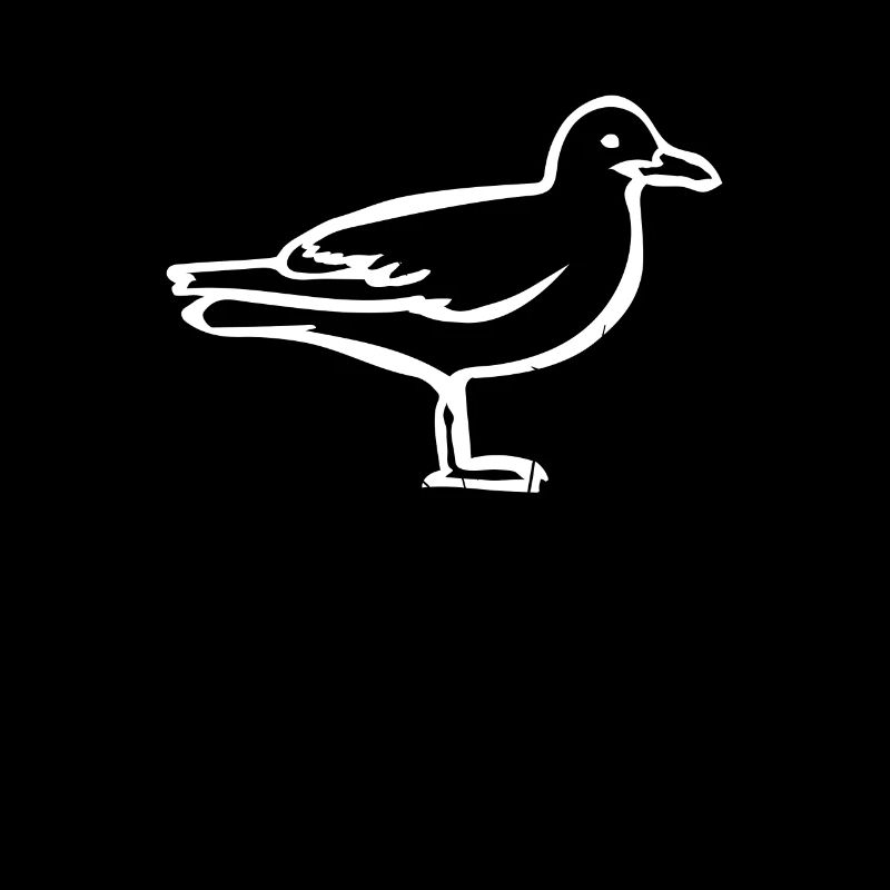 mouette
