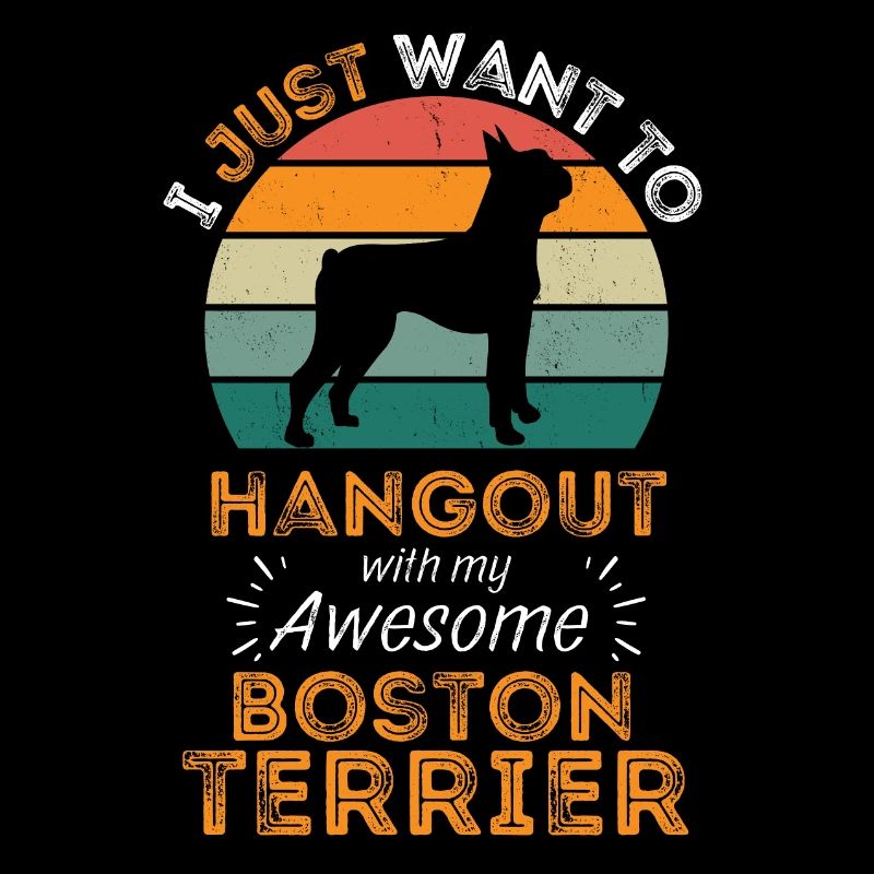 Legendary Boston Terrier Vintage Retro