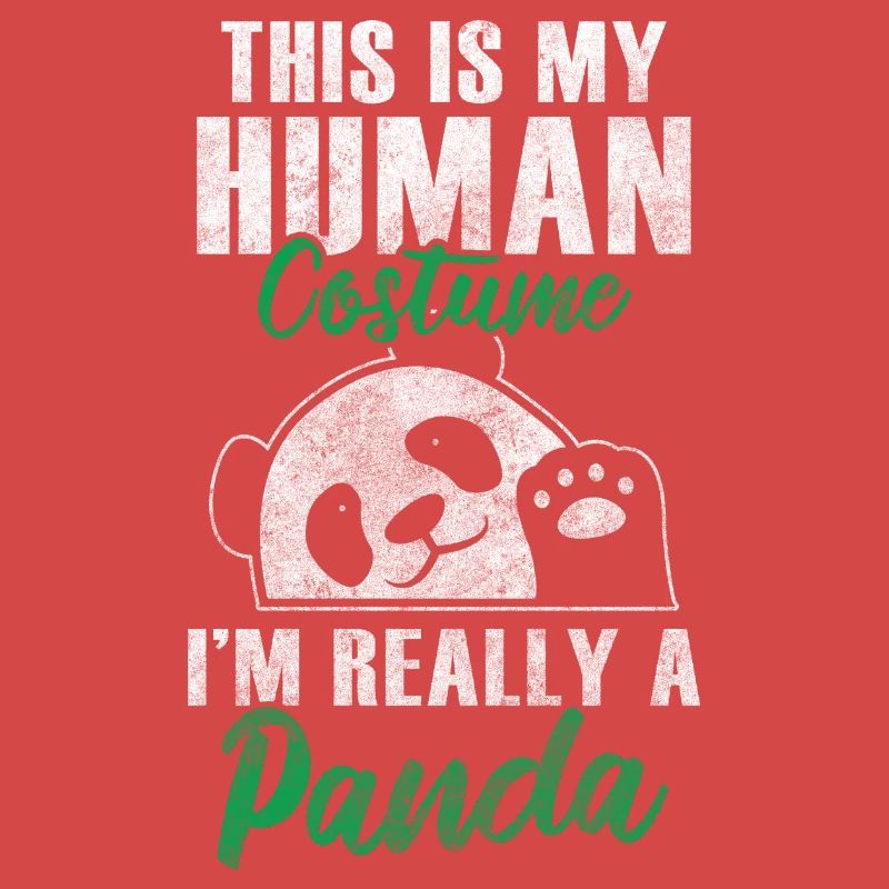 Panda Géant Panda Chine Mignon