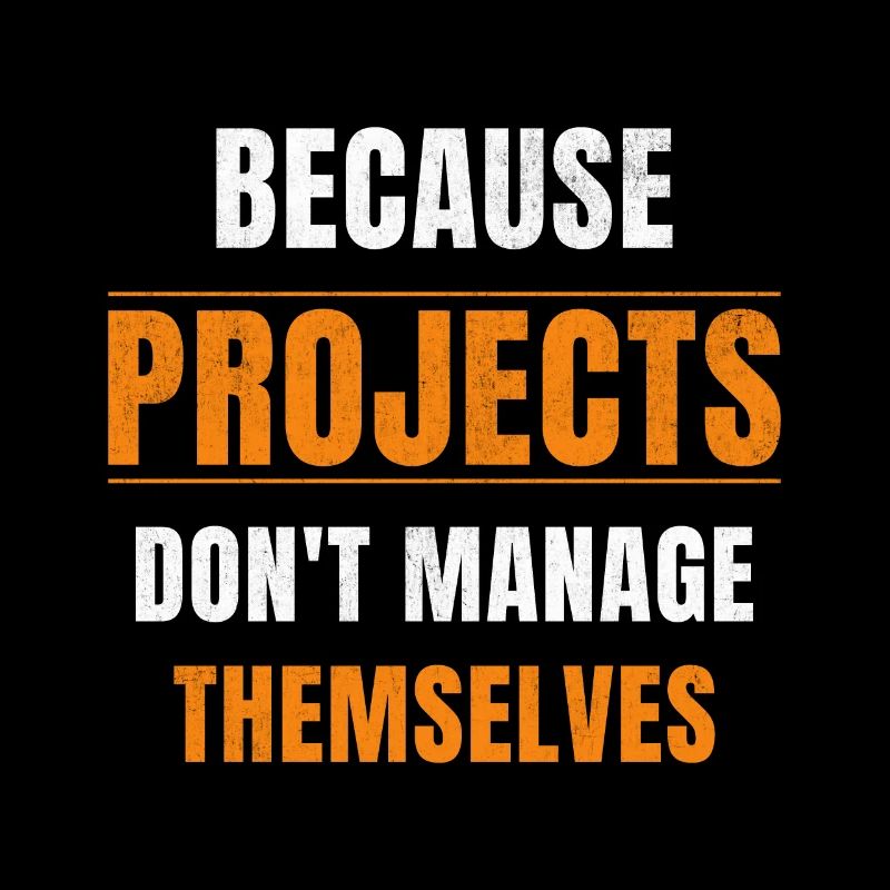Project Manager