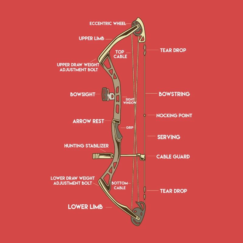 Anatomie eines Bogens | Bogensport Compound Pfeil