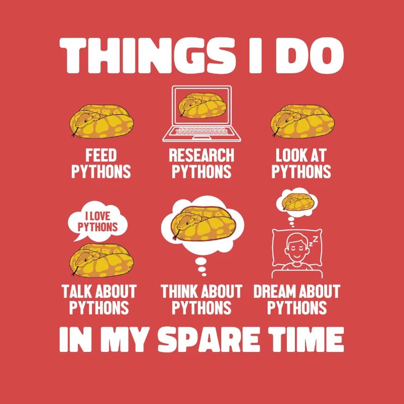 Things I Do In My Spare Time Python Banana Ball