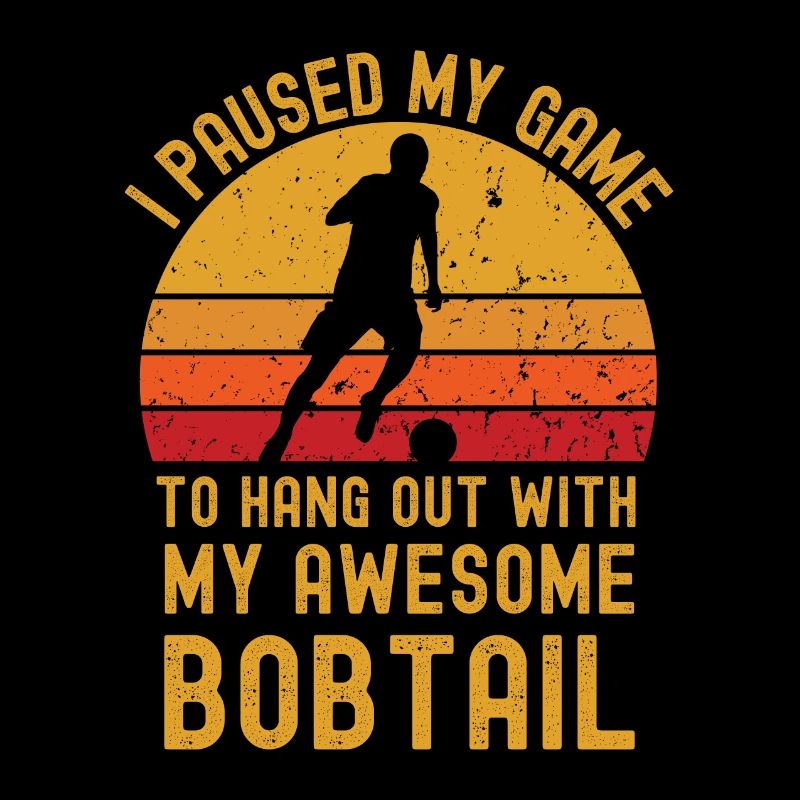 Fußball und Bobtail