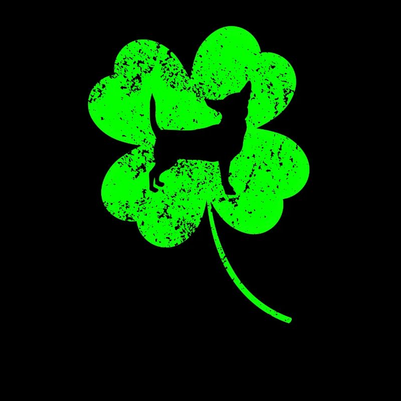 Chihuahua Saint-Patrick Trèfle