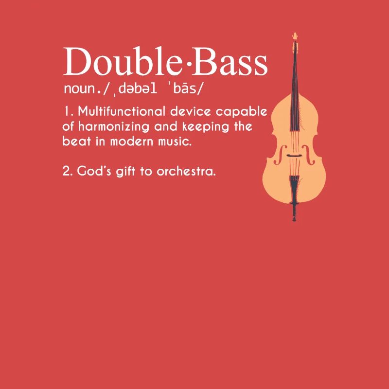 Contrebasse Définition Instrument double basse