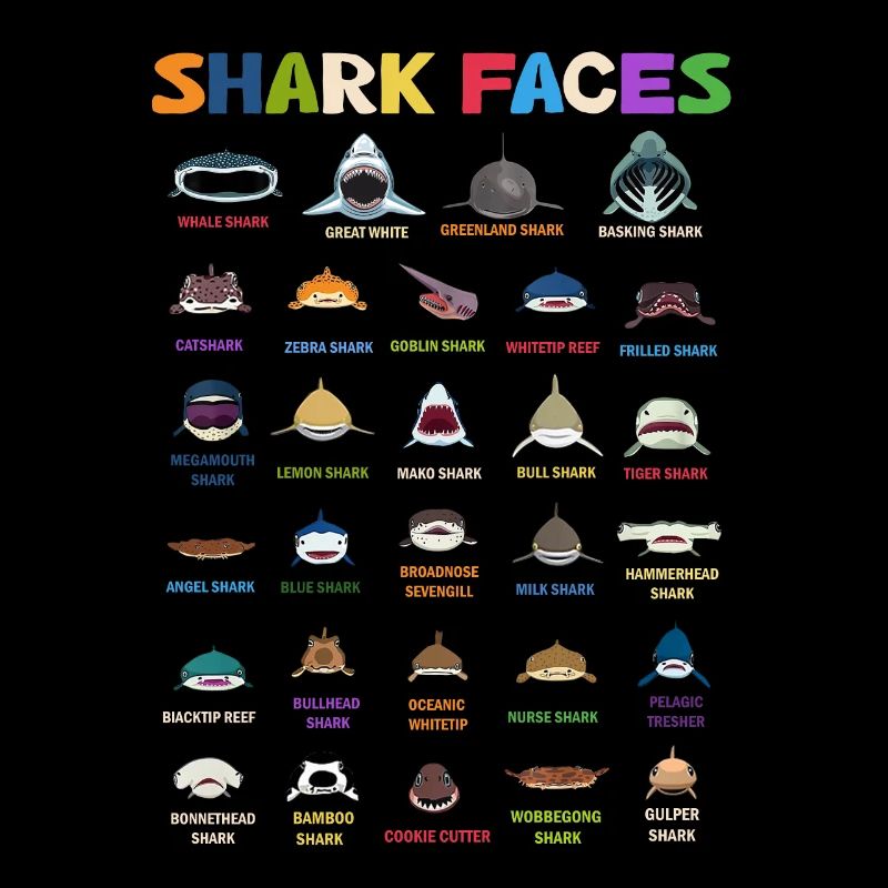 Types de visages de requins. Identification du visage du requin