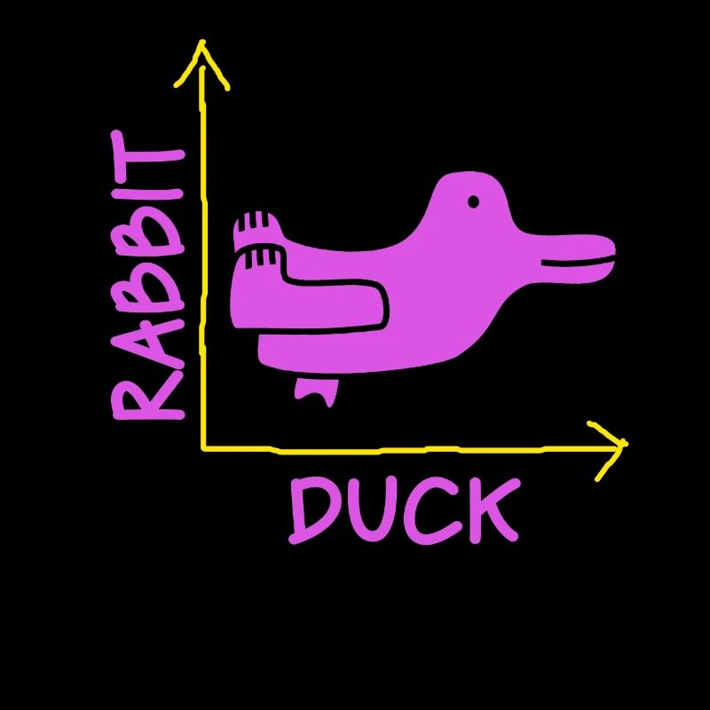 Wittgenstein lapin canard illusion