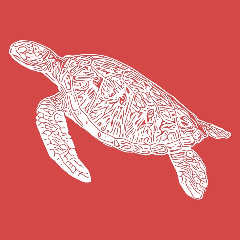 Vintage diving turtle