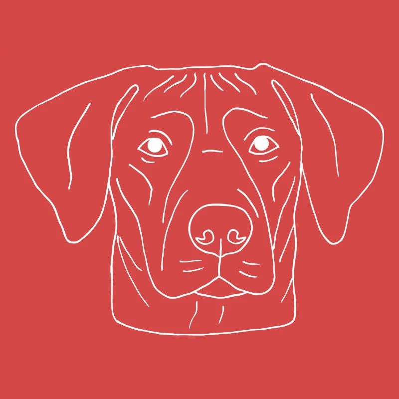 Rhodesian Ridgeback