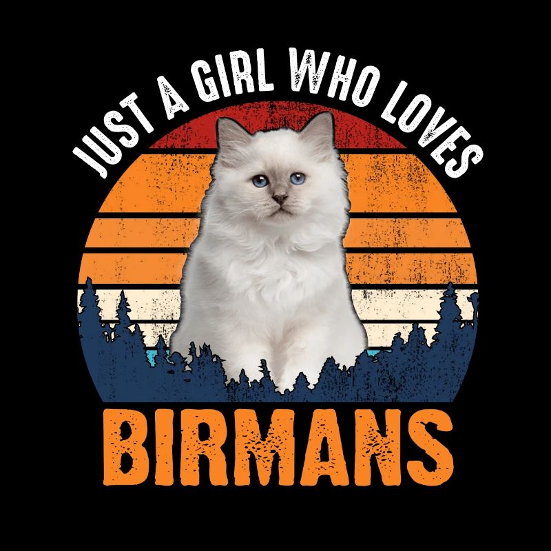 CHAT - BIRMANE CHAT BIRMANS
