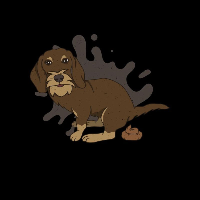 Rough-haired dachshund poops piles