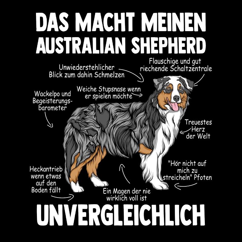 Australian Shepherd Aussie