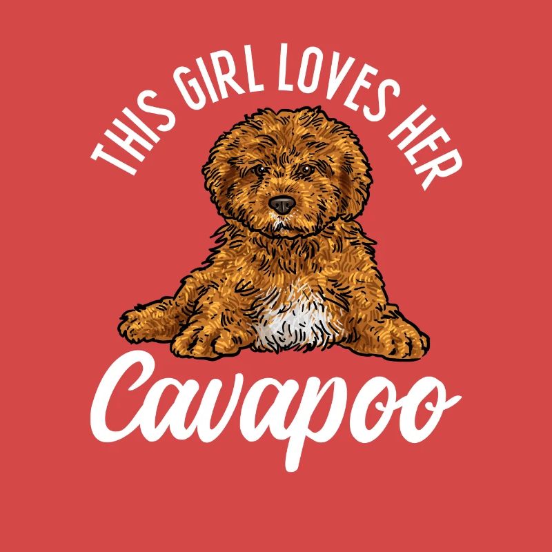 Cavapoo Cavoodle Capoodle Chien