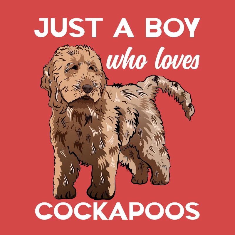 Cockapoo Hund