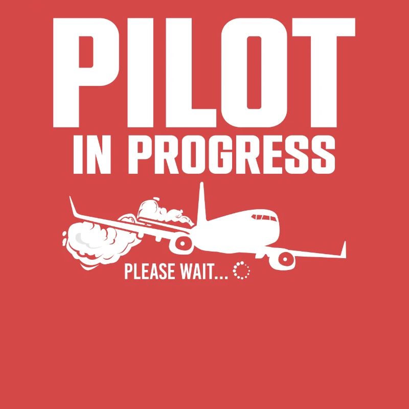 Pilot In Progress Please Wait Loading Plane