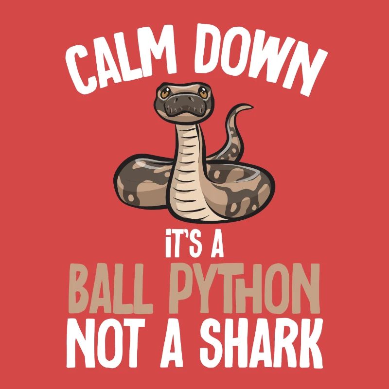 Ball Python Schlange Königspython