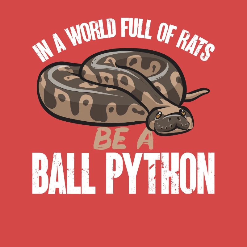 Ball Python Schlange Königspython