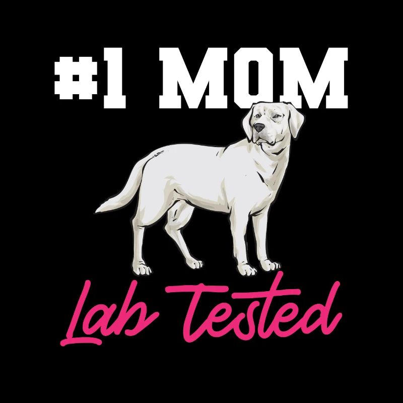 Labrador Retriever blanc Labrador Labrador blanc