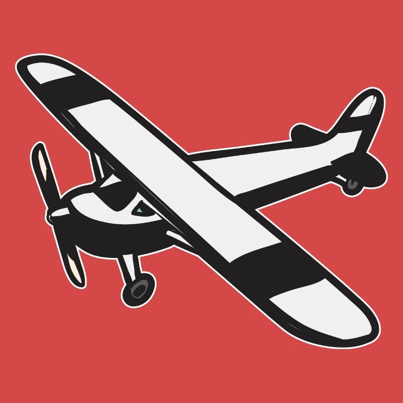 Modèle d’avion télécommandé