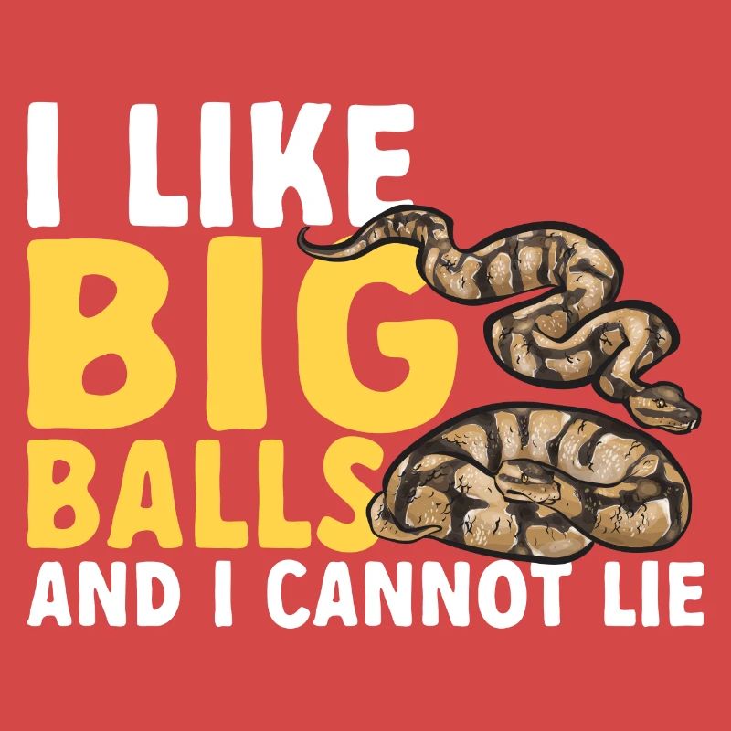 Ball Python Snake King Python