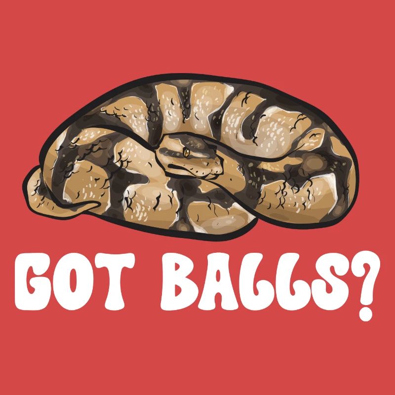 Ball Python Snake King Python