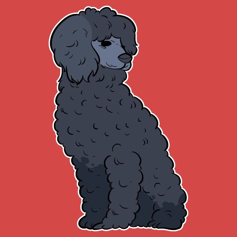 Caniche Chien Nain Caniche Jouet Caniche Petit Caniche Chiot Chiot