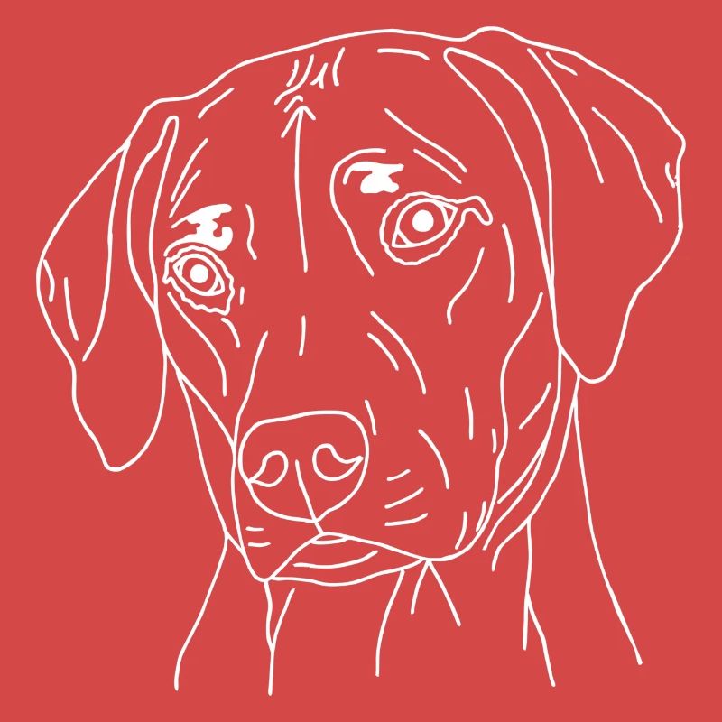 Rhodesian Ridgeback