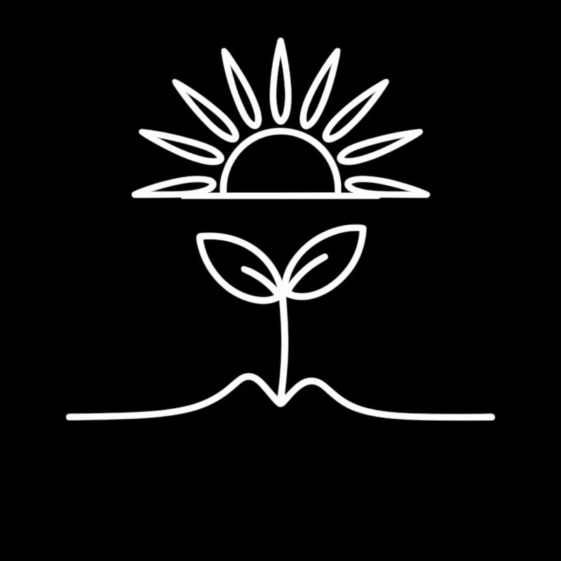 Design minimaliste de la nature avec plante et soleil