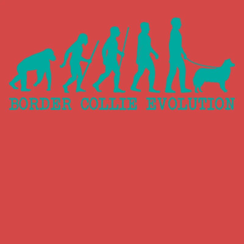 Border Collie Evolution