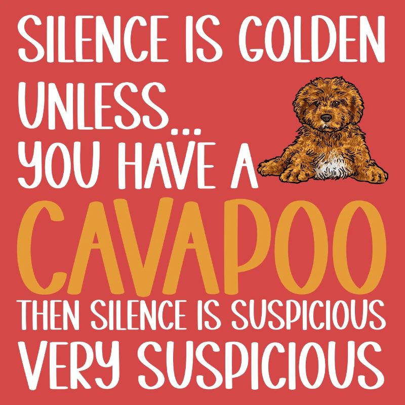 Cavapoo Cavoodle Capoodle Chien